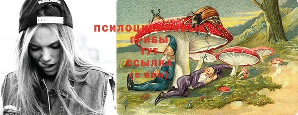 Альфа ПВП Алзамай
