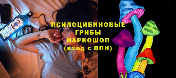 Альфа ПВП Алзамай