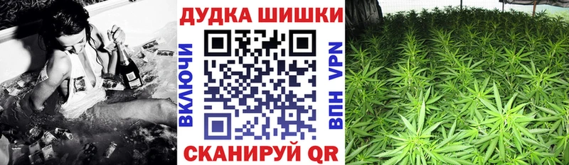 Бошки марихуана планчик  Лодейное Поле 